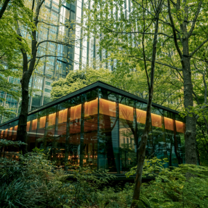 Aman Tokyo